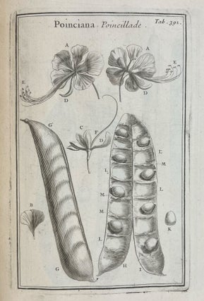 Institutiones Rei Herbariae. Editio Altera, Gallica Longe Auctior. Quingentis circiter Tabulis aneis adornata.