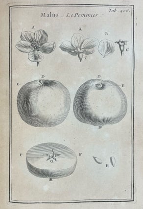 Institutiones Rei Herbariae. Editio Altera, Gallica Longe Auctior. Quingentis circiter Tabulis aneis adornata.