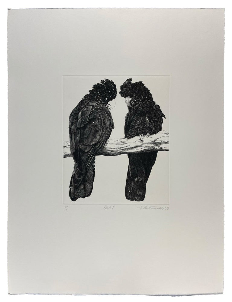 Item #40188 Parrots and Cockatoos. Elizabeth BUTTERWORTH, Rosemary, LOW, Artist b. 1949, Author b. 1942.