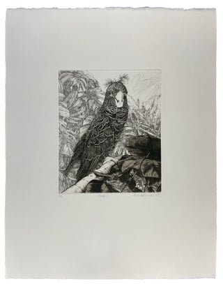 Parrots and Cockatoos