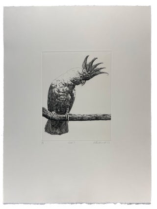 Parrots and Cockatoos