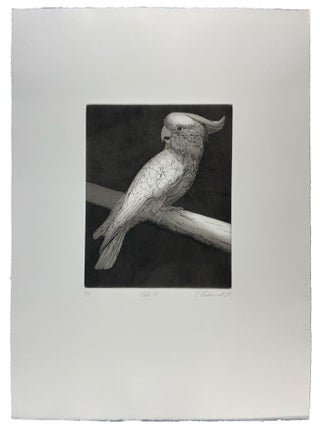 Parrots and Cockatoos