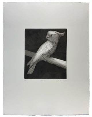 Parrots and Cockatoos
