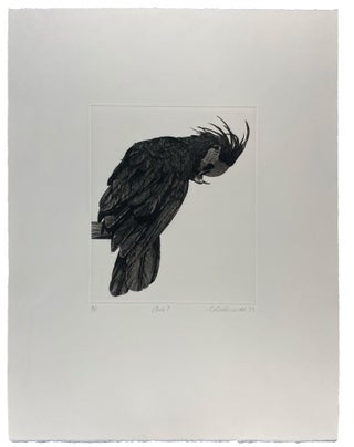 Parrots and Cockatoos