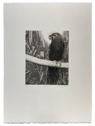 Parrots and Cockatoos
