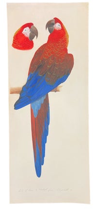 Item #40191 "Macaw" Elizabeth BUTTERWORTH, born 1949