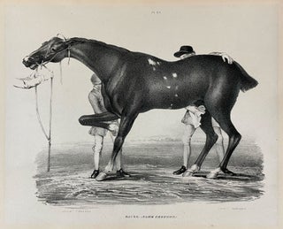 Item #40217 Comparative View of the Form and Character of the English Racer and Saddle-Horse...