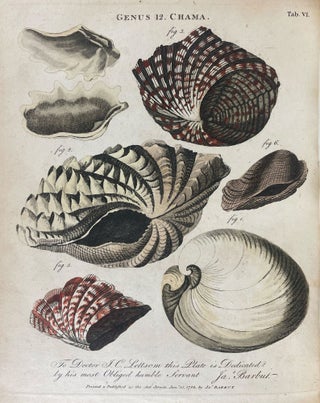 Item #40225 The Genera Vermium Exemplified by Various Specimens of the Animals Contained in the...