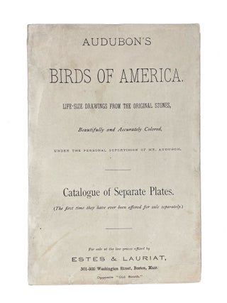 Item #40414 Audubon's Birds of America. Life-Size Drawings from the Original Stones, Beautifully...