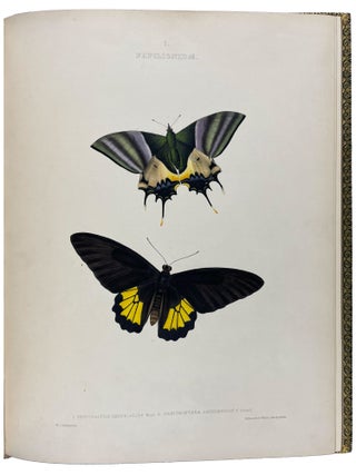 The Genera of Diurnal Lepidoptera: comprising their generic characters, a notice of their habits and transformations, and a catalogue of the species of each genus.