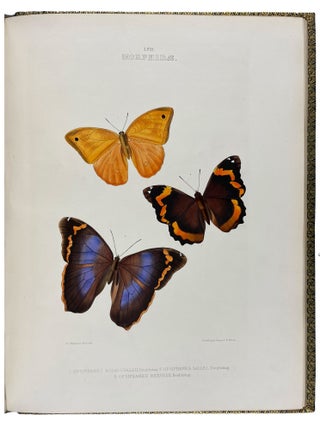 The Genera of Diurnal Lepidoptera: comprising their generic characters, a notice of their habits and transformations, and a catalogue of the species of each genus.