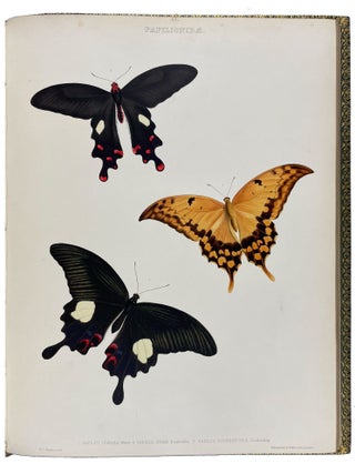 The Genera of Diurnal Lepidoptera: comprising their generic characters, a notice of their habits and transformations, and a catalogue of the species of each genus.