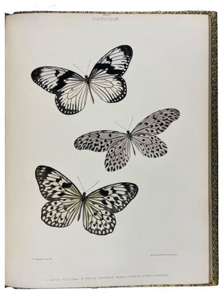 The Genera of Diurnal Lepidoptera: comprising their generic characters, a notice of their habits and transformations, and a catalogue of the species of each genus.
