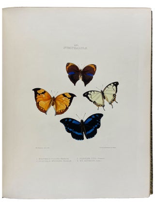The Genera of Diurnal Lepidoptera: comprising their generic characters, a notice of their habits and transformations, and a catalogue of the species of each genus.
