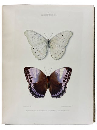 The Genera of Diurnal Lepidoptera: comprising their generic characters, a notice of their habits and transformations, and a catalogue of the species of each genus.