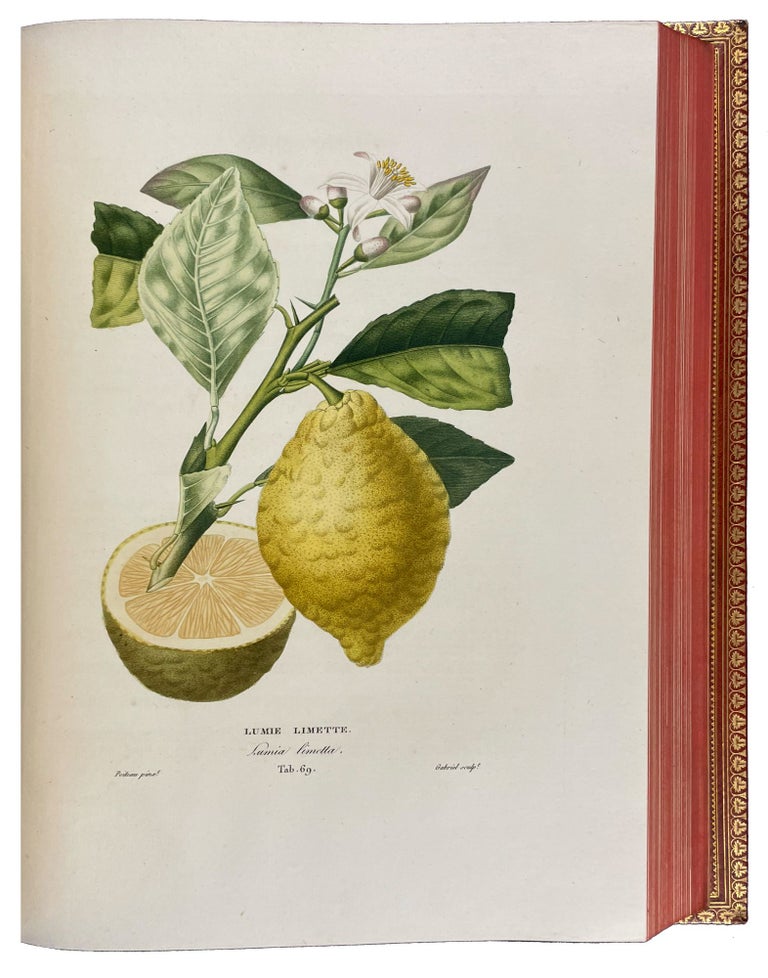 Item #40454 Histoire Naturelle des Orangers. Joseph Antoine RISSO, Pierre Antoine POITEAU.