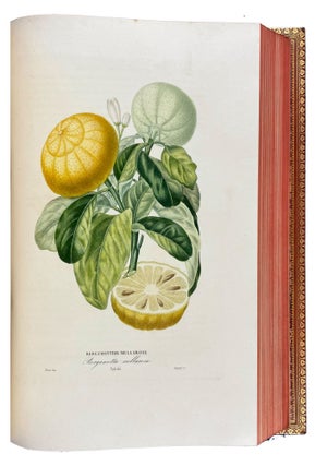 Histoire Naturelle des Orangers