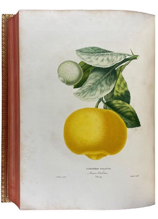 Histoire Naturelle des Orangers