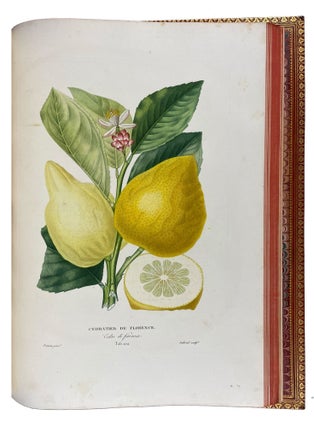 Histoire Naturelle des Orangers