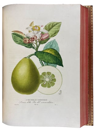 Histoire Naturelle des Orangers