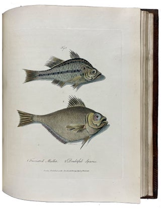 Journal of a Voyage to New South Wales with Sixty-five Plates of Non descript Animals, Birds, Lizards, Serpents, curious Cones of Trees and other Natural Productions