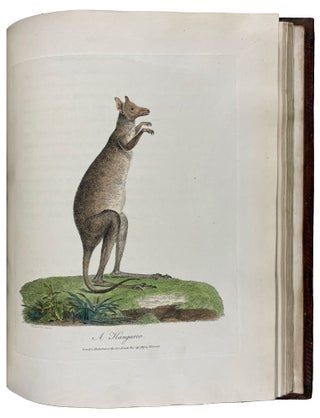 Journal of a Voyage to new South Wales with Sixty-five Plates of Non descript Animals, Birds, Lizards, Serpents, curious Cones of Trees and other Natural Productions