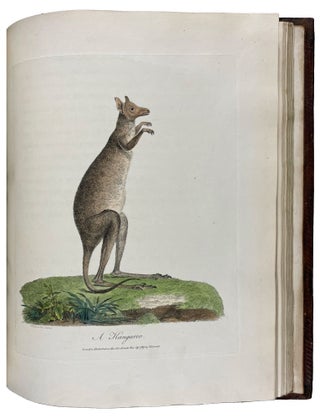 Journal of a Voyage to New South Wales with Sixty-five Plates of Non descript Animals, Birds, Lizards, Serpents, curious Cones of Trees and other Natural Productions