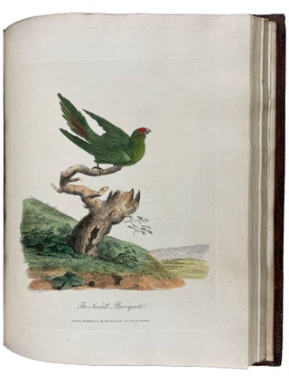 Journal of a Voyage to New South Wales with Sixty-five Plates of Non descript Animals, Birds, Lizards, Serpents, curious Cones of Trees and other Natural Productions