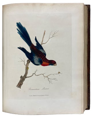 Journal of a Voyage to New South Wales with Sixty-five Plates of Non descript Animals, Birds, Lizards, Serpents, curious Cones of Trees and other Natural Productions