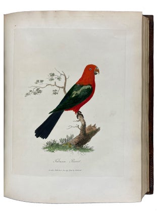 Journal of a Voyage to New South Wales with Sixty-five Plates of Non descript Animals, Birds, Lizards, Serpents, curious Cones of Trees and other Natural Productions