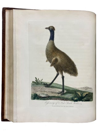 Journal of a Voyage to new South Wales with Sixty-five Plates of Non descript Animals, Birds, Lizards, Serpents, curious Cones of Trees and other Natural Productions
