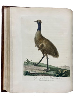 Journal of a Voyage to New South Wales with Sixty-five Plates of Non descript Animals, Birds, Lizards, Serpents, curious Cones of Trees and other Natural Productions