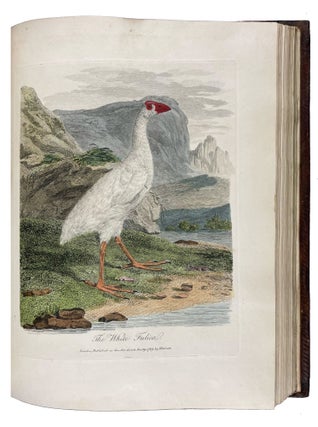 Journal of a Voyage to New South Wales with Sixty-five Plates of Non descript Animals, Birds, Lizards, Serpents, curious Cones of Trees and other Natural Productions