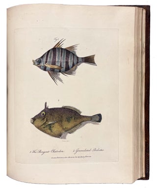 Journal of a Voyage to New South Wales with Sixty-five Plates of Non descript Animals, Birds, Lizards, Serpents, curious Cones of Trees and other Natural Productions