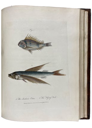 Journal of a Voyage to New South Wales with Sixty-five Plates of Non descript Animals, Birds, Lizards, Serpents, curious Cones of Trees and other Natural Productions