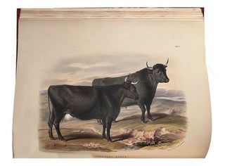 The breeds of domestic animals of the British Isles