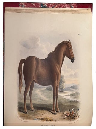 Item #40457 The breeds of domestic animals of the British Isles. David LOW