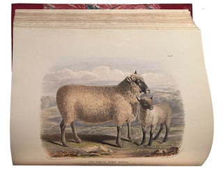 The breeds of domestic animals of the British Isles