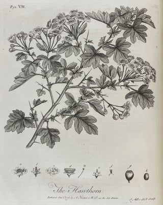 Silva: or, a Discourse of Forest-Trees, and the Propagation of Timber in his Majesty's Dominions: As it was delivered in the Royal Society on the 15th day of October, 1662, upon Occasion of certain Quaeries propounded to that illustrious Assembly, by the Honourable the Principal Officers and Commissioners of the Navy, together with an Historical Account of the Sacredness and Use of Standing Groves.