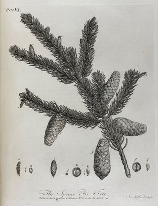 Silva: or, a Discourse of Forest-Trees, and the Propagation of Timber in his Majesty's Dominions: As it was delivered in the Royal Society on the 15th day of October, 1662, upon Occasion of certain Quaeries propounded to that illustrious Assembly, by the Honourable the Principal Officers and Commissioners of the Navy, together with an Historical Account of the Sacredness and Use of Standing Groves.