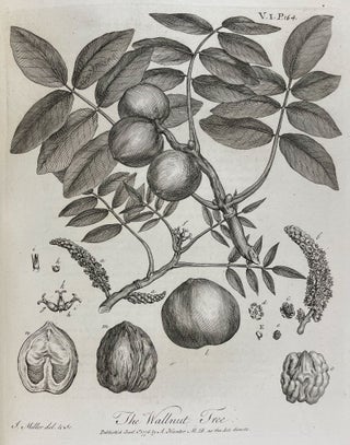 Silva: or, a Discourse of Forest-Trees, and the Propagation of Timber in his Majesty's Dominions: As it was delivered in the Royal Society on the 15th day of October, 1662, upon Occasion of certain Quaeries propounded to that illustrious Assembly, by the Honourable the Principal Officers and Commissioners of the Navy, together with an Historical Account of the Sacredness and Use of Standing Groves.