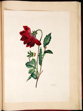 Specimens of Oriental Tinting