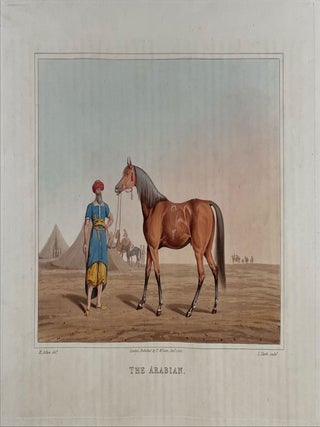 The National Sports of Great Britain