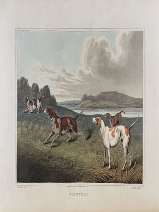 The National Sports of Great Britain