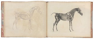 The Anatomy of the Horse: Including a Particular Description of the Bones, Cartilages, Muscles, Fascias. Ligaments, Nerves, Arteries, Veins, and Glands