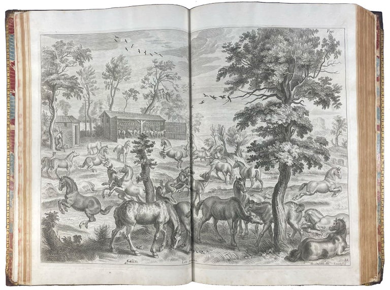Item #40577 Méthode Et Invention Nouvelle De Dresser Les Chevaux. Second Edition. William Cavendish NEWCASTLE, Duke of, Gaspard de SAUNIER.
