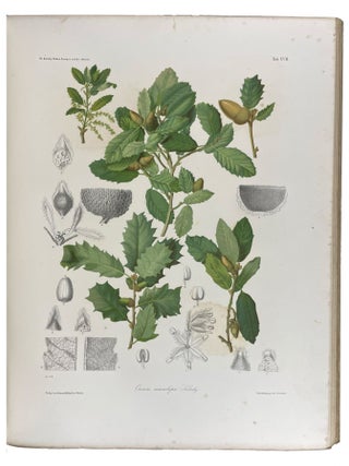 Les ch&ecirc;nes de l'Europe et de l'Orient, descriptions et figures de toutes les esp&egrave;ces, suivies de consid&eacute;rations sur leur culture dans l'Europe centrale, accompagn&eacute;es de 40 planches chromolithographi&eacute;es