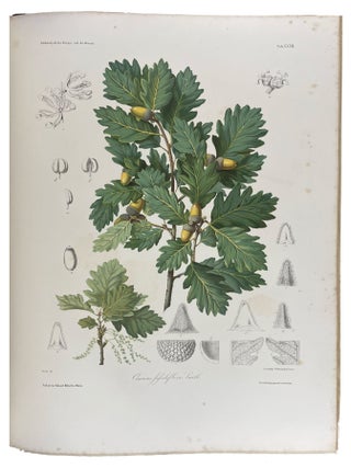 Les ch&ecirc;nes de l'Europe et de l'Orient, descriptions et figures de toutes les esp&egrave;ces, suivies de consid&eacute;rations sur leur culture dans l'Europe centrale, accompagn&eacute;es de 40 planches chromolithographi&eacute;es