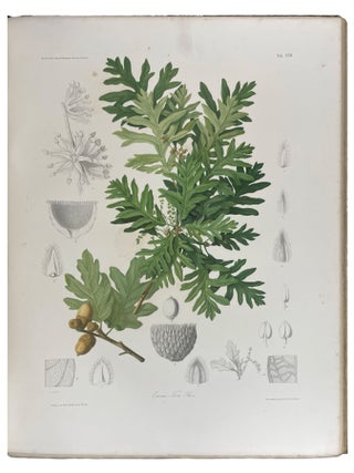 Les ch&ecirc;nes de l'Europe et de l'Orient, descriptions et figures de toutes les esp&egrave;ces, suivies de consid&eacute;rations sur leur culture dans l'Europe centrale, accompagn&eacute;es de 40 planches chromolithographi&eacute;es