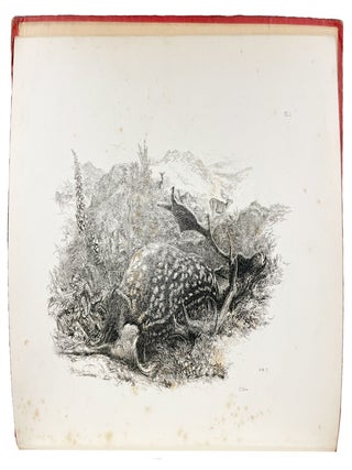 Passages from Modern English Poets. Illustrated by the Junior Etching Club